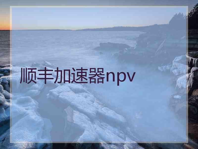 顺丰加速器npv