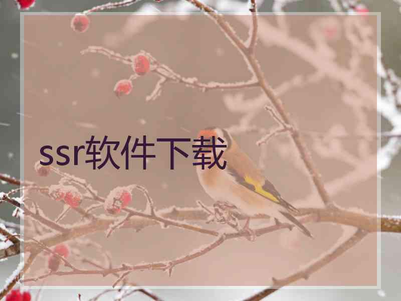 ssr软件下载