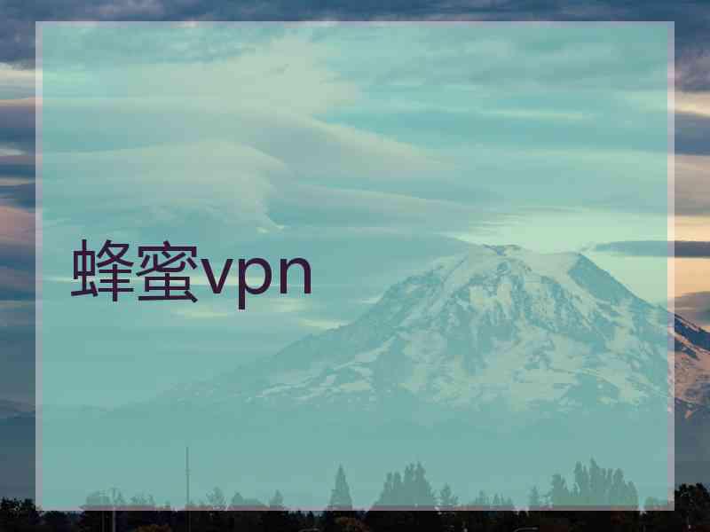 蜂蜜vpn