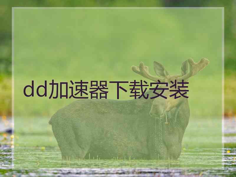 dd加速器下载安装