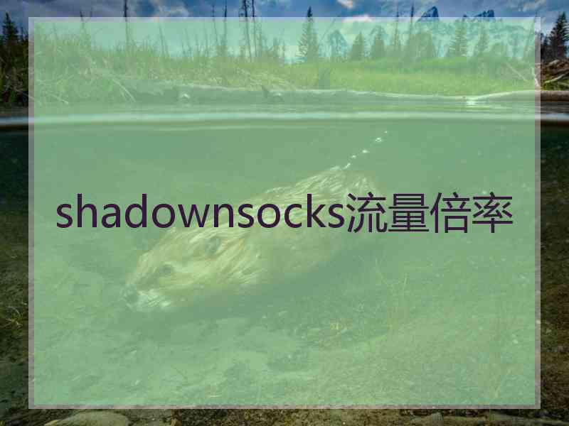 shadownsocks流量倍率