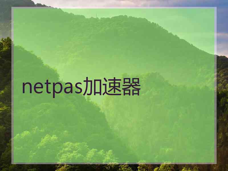 netpas加速器