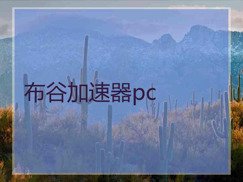 布谷加速器pc