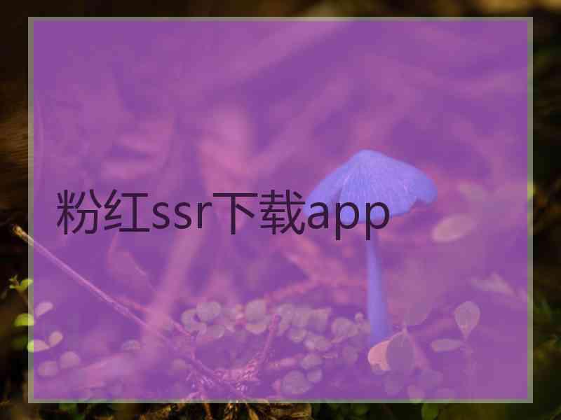 粉红ssr下载app