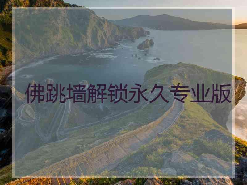 佛跳墙解锁永久专业版