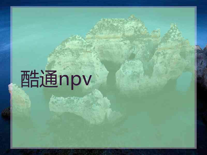 酷通npv