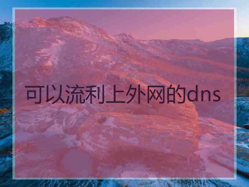 可以流利上外网的dns