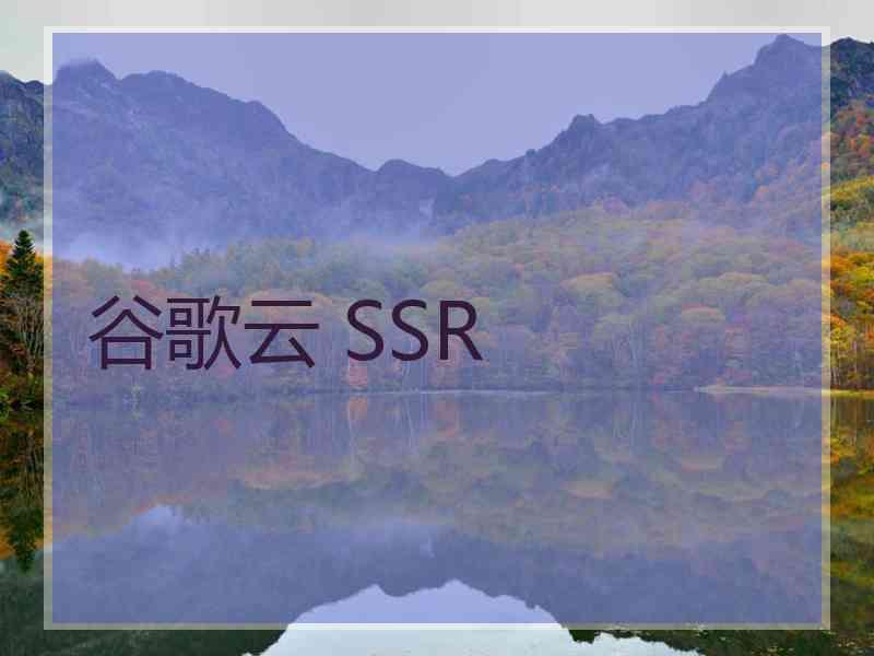 谷歌云 SSR