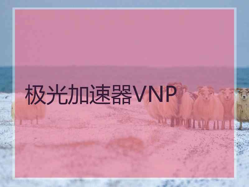 极光加速器VNP