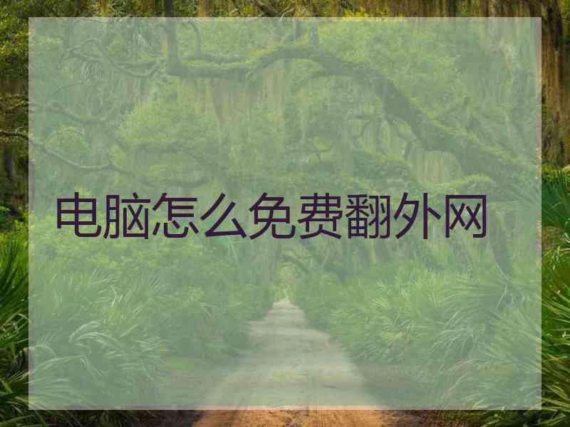 电脑怎么免费翻外网