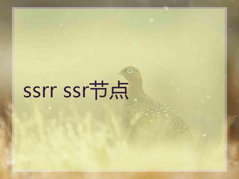 ssrr ssr节点