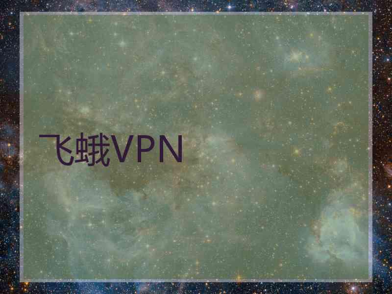 飞蛾VPN