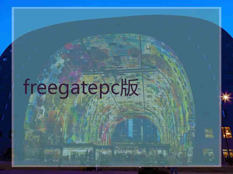 freegatepc版