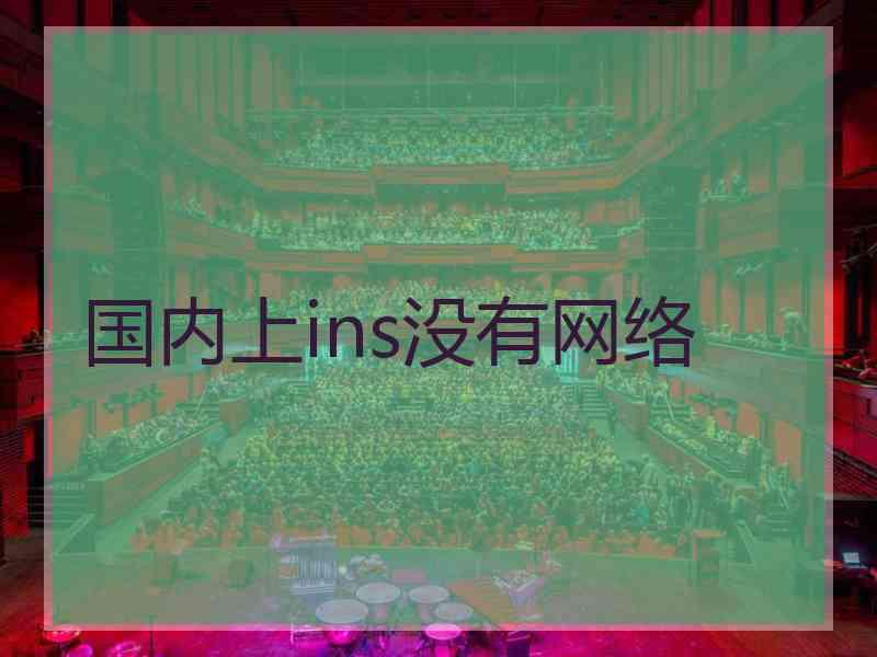 国内上ins没有网络