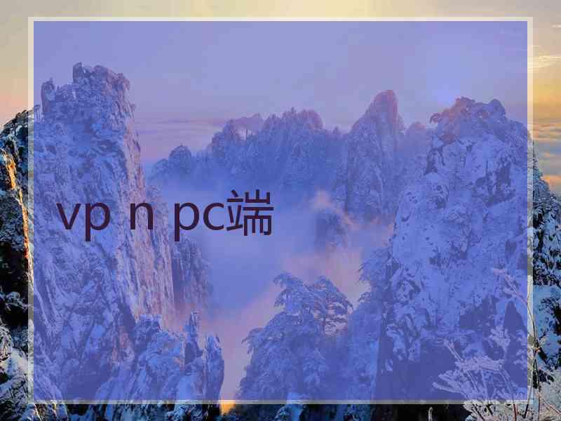 vp n pc端