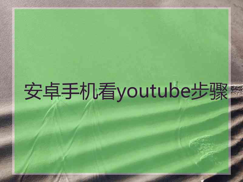 安卓手机看youtube步骤