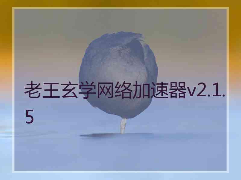 老王玄学网络加速器v2.1.5