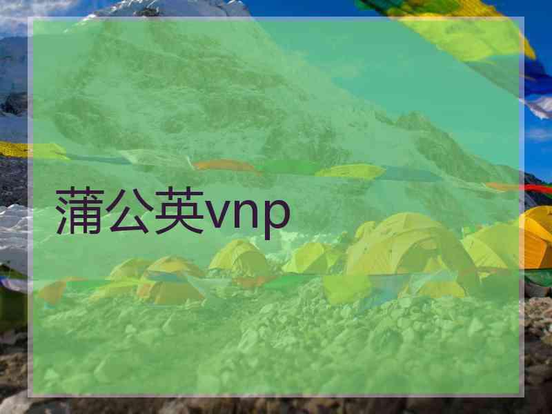 蒲公英vnp