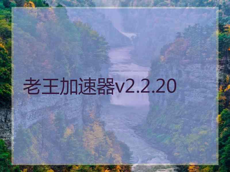 老王加速器v2.2.20