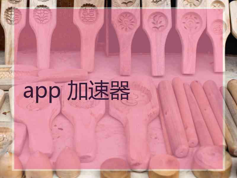 app 加速器