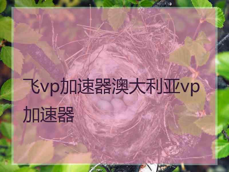 飞vp加速器澳大利亚vp加速器