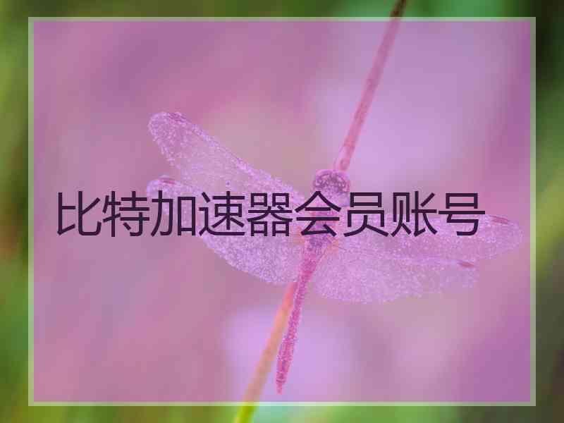 比特加速器会员账号