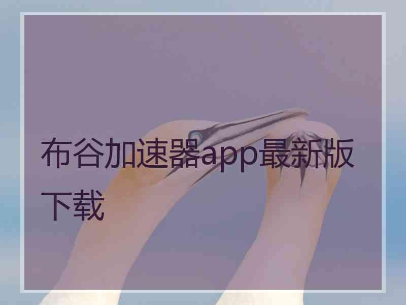 布谷加速器app最新版下载