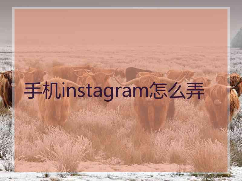 手机instagram怎么弄