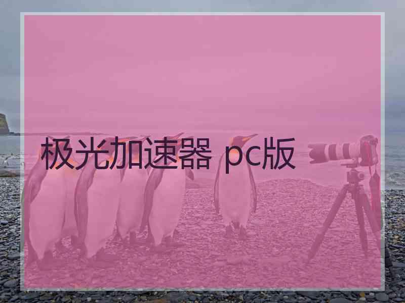 极光加速器 pc版