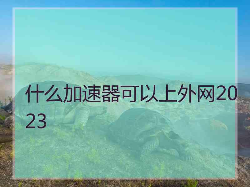 什么加速器可以上外网2023