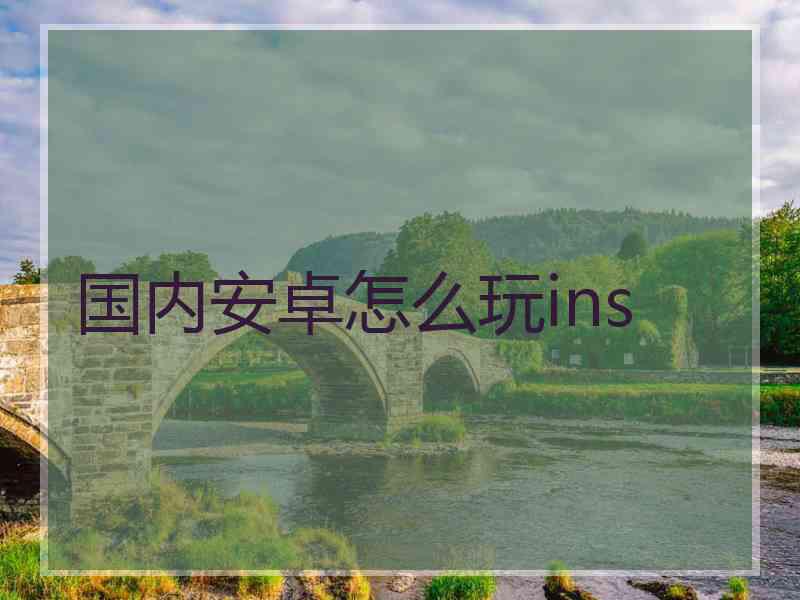 国内安卓怎么玩ins