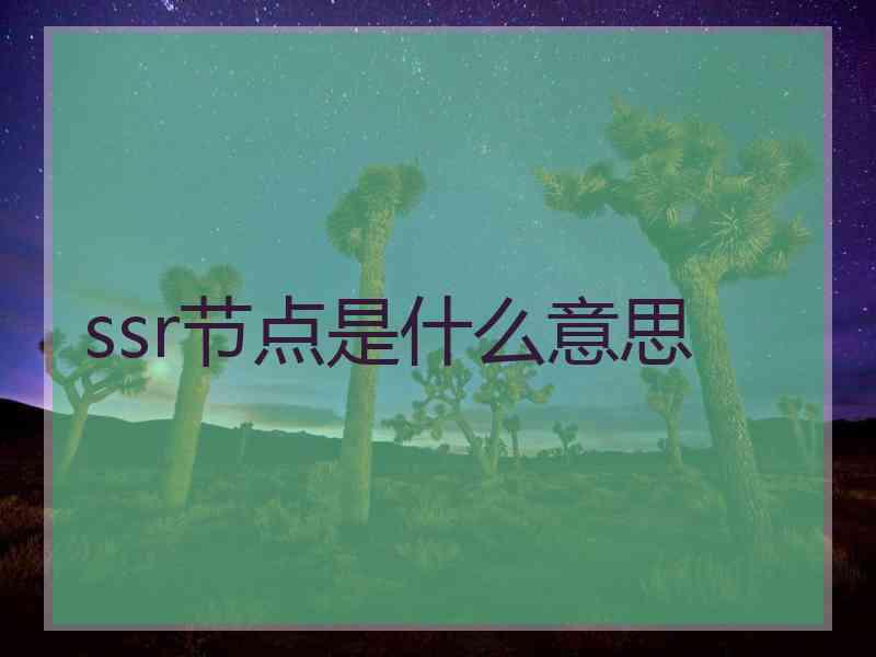 ssr节点是什么意思