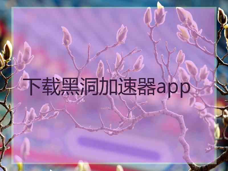 下载黑洞加速器app