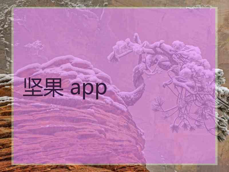 坚果 app