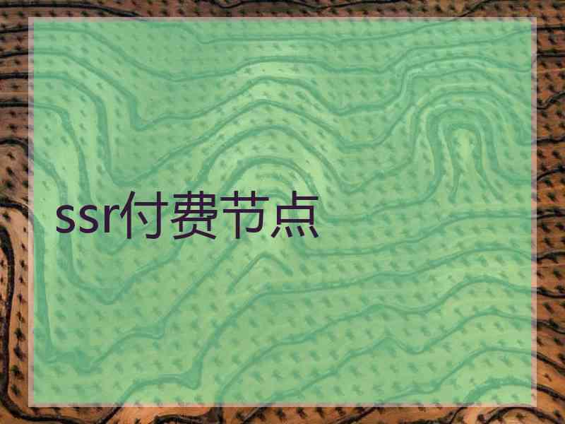 ssr付费节点