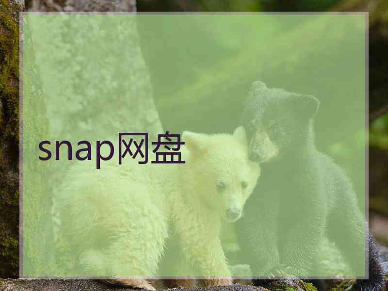 snap网盘