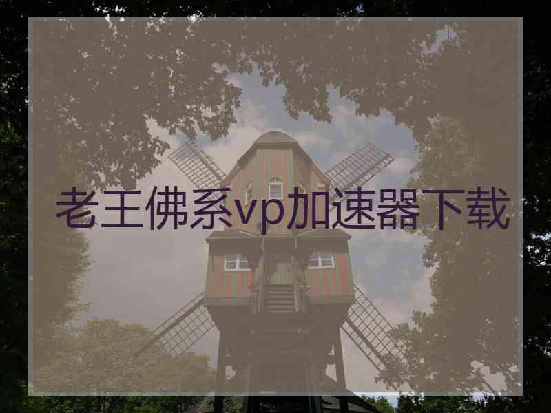 老王佛系vp加速器下载