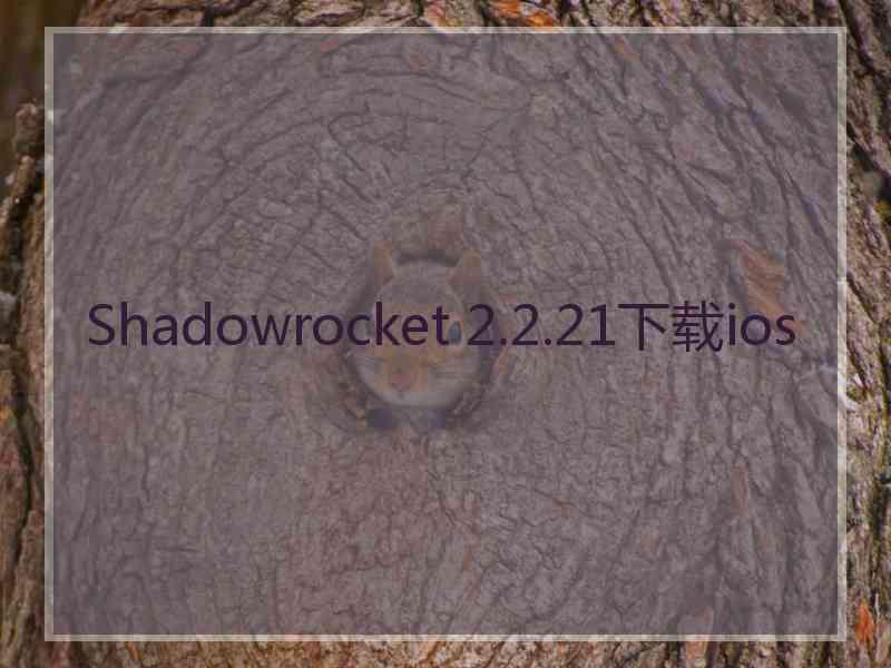 Shadowrocket 2.2.21下载ios