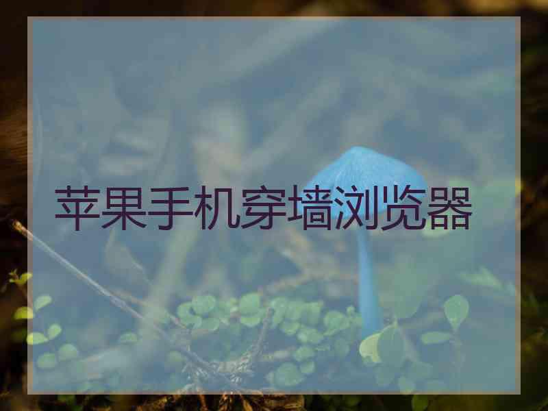 苹果手机穿墙浏览器