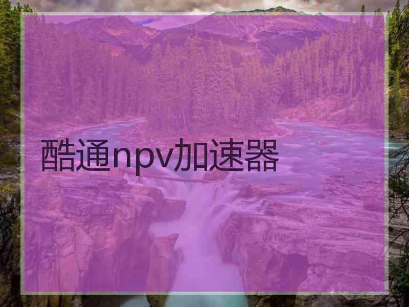 酷通npv加速器