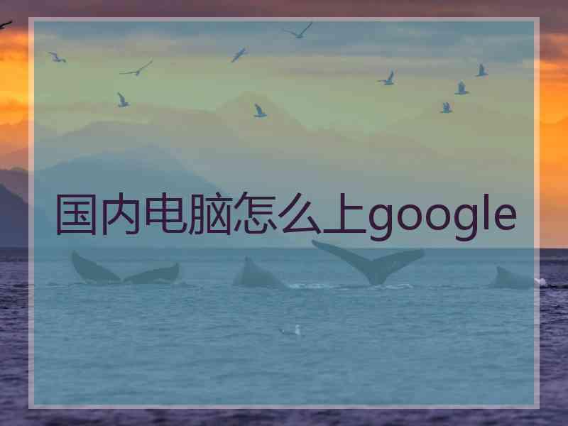 国内电脑怎么上google