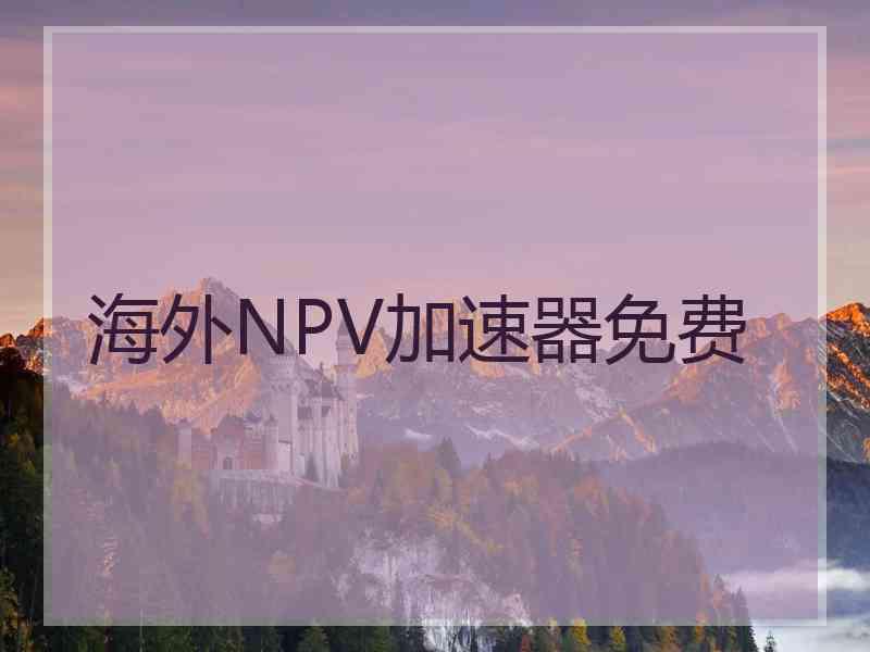 海外NPV加速器免费