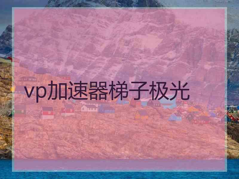 vp加速器梯子极光