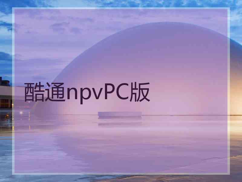 酷通npvPC版