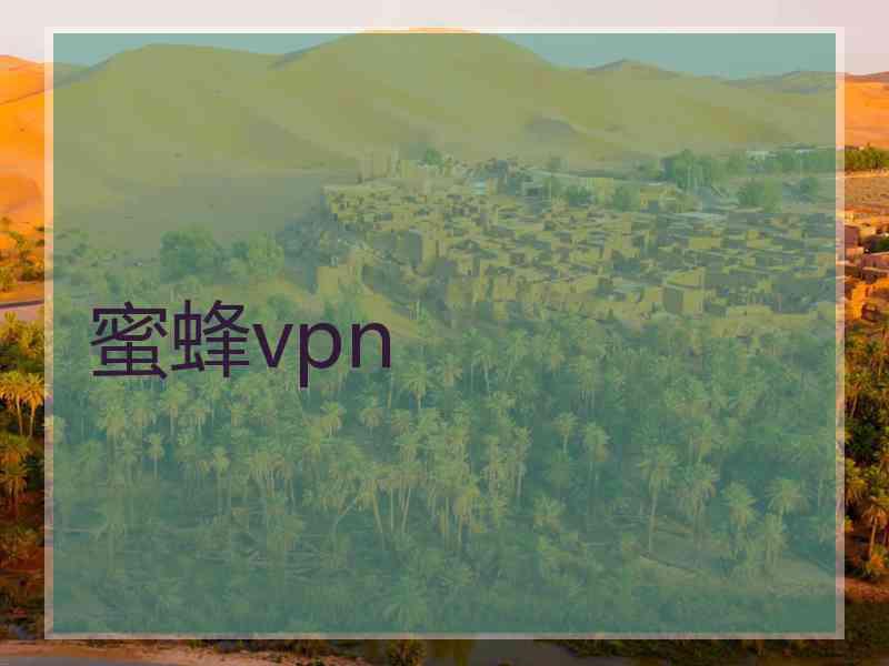 蜜蜂vpn