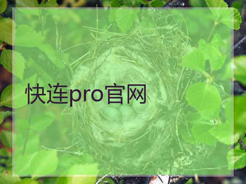 快连pro官网