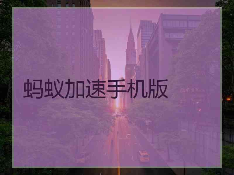 蚂蚁加速手机版