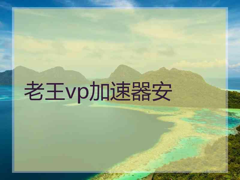 老王vp加速器安