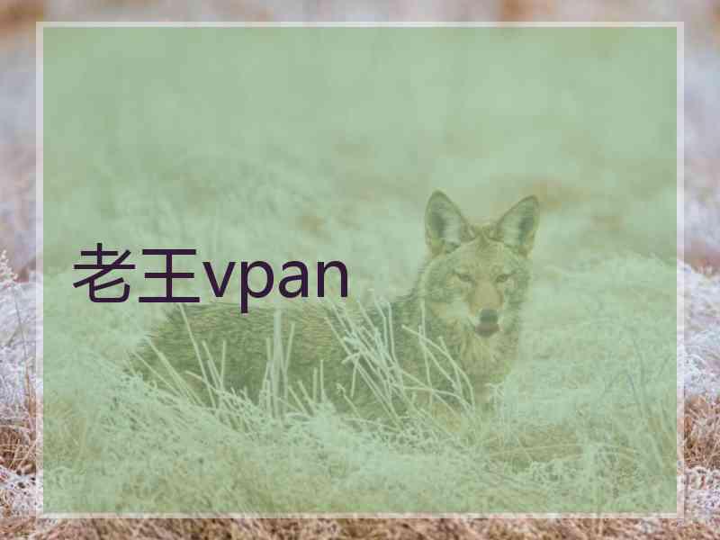 老王vpan