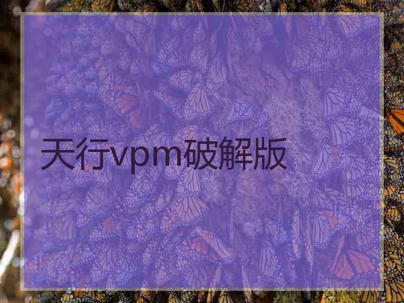 天行vpm破解版